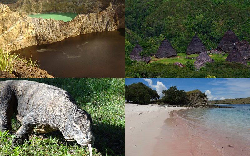 Komodo tour Indonesia